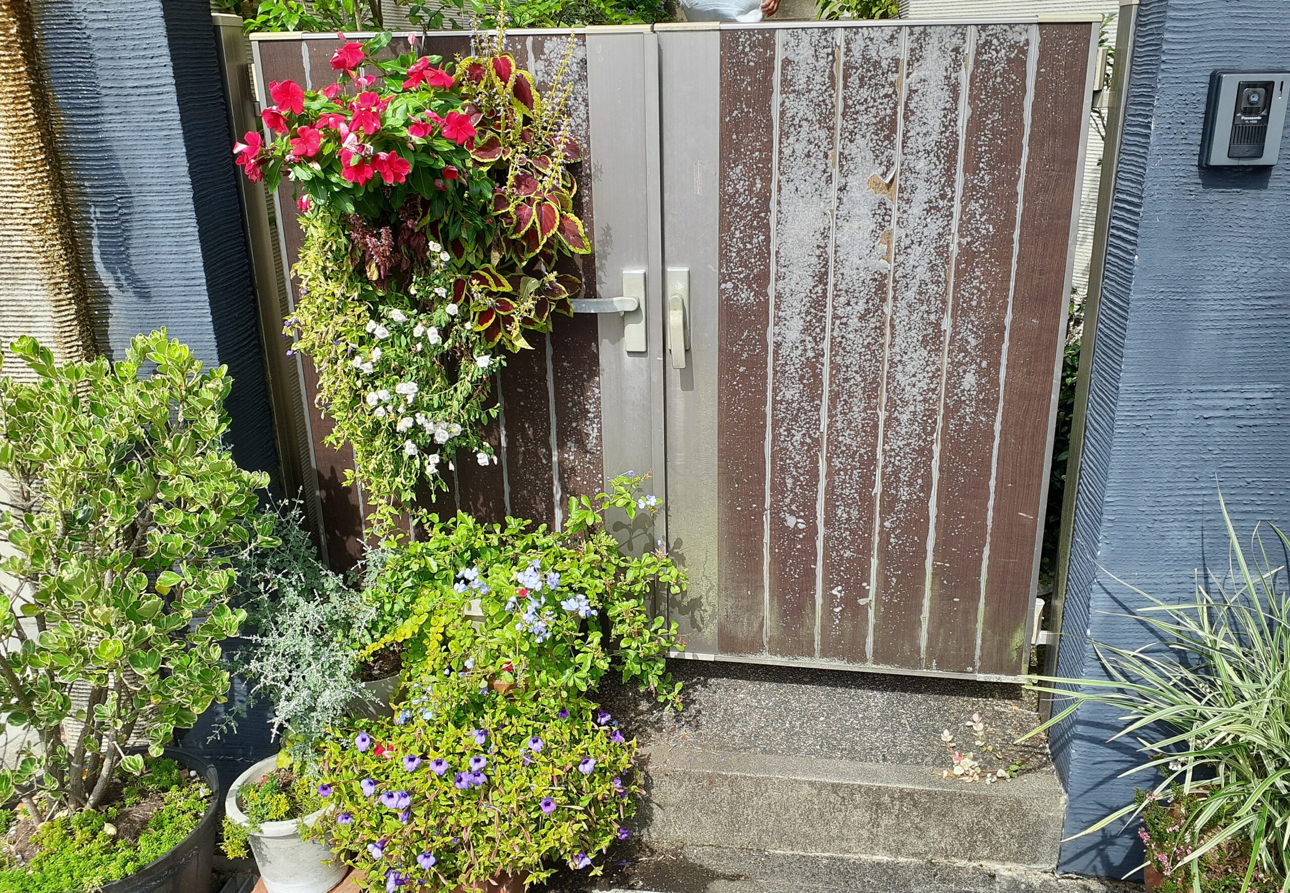Before画像