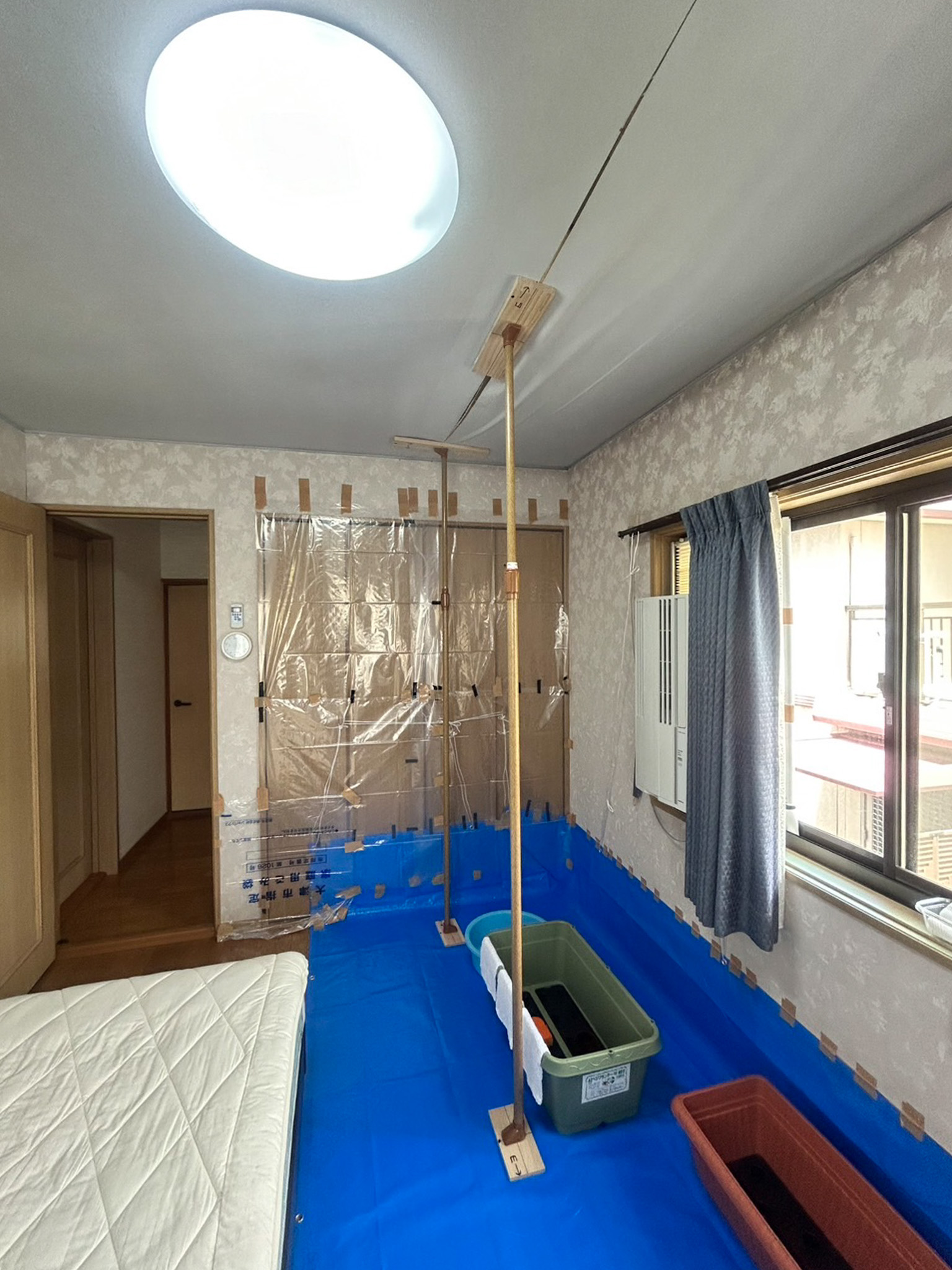 Before画像