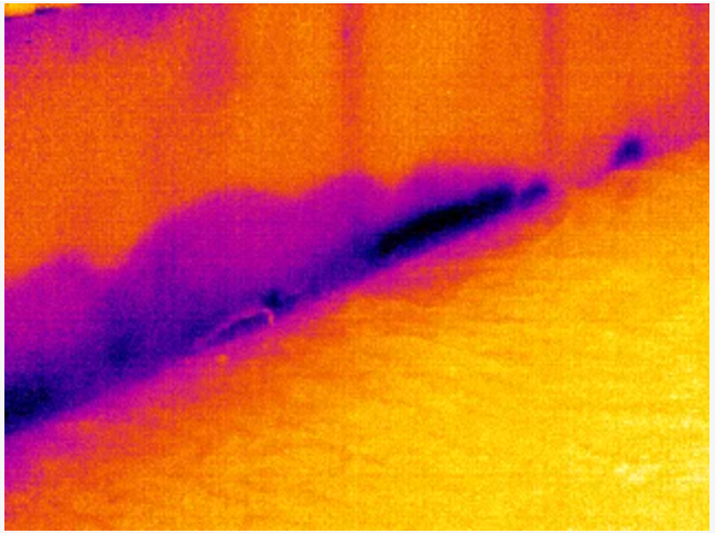 赤外線サーモグラフィカメラで湿度が高い所を示している