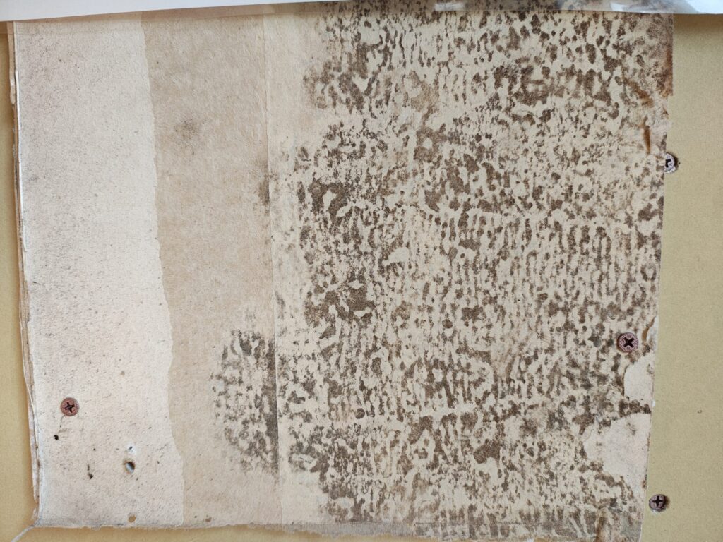 壁内部結露による黒カビの例（滋賀の住宅）