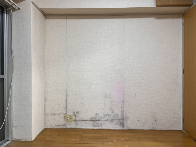 壁紙に生えているカビ