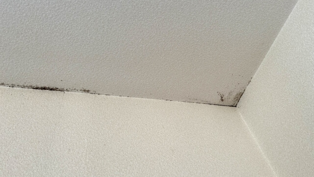 クロスの隅にカビ