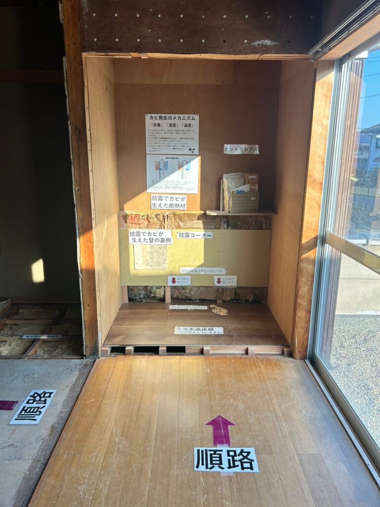 結露、カビの発生メカニズム